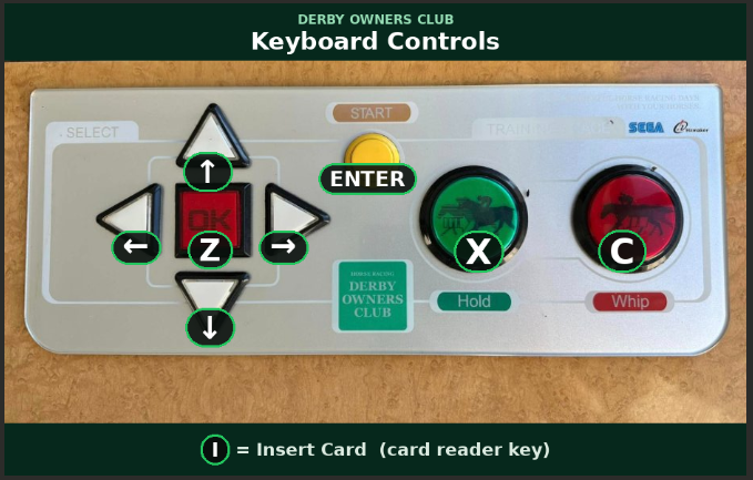 Derby Owners Club control panel showing the keyboard mapping: arrow keys to move, Enter to start, Z is Button A, X is Hold, C is Whip, and I inserts a card.